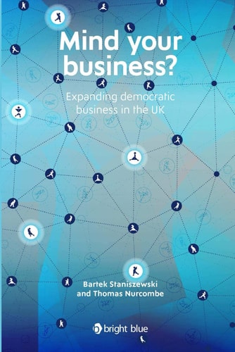 Mind Your Business? Expanding Democratic Business in the UK