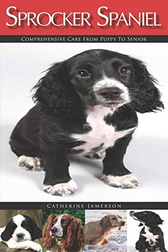 Sprocker Spaniel Comprehensive Care from Puppy to Senior; Care, Health, Training, Behaviour, Understanding, Grooming, Costs and Much More