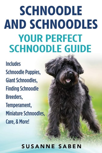 Schnoodle and Schnoodles Your Perfect Schnoodle Guide Includes Schnoodle Puppies, Giant Schnoodles, Finding Schnoodle Breeders, Temperament, Miniature Schnoodles, Care, & More!