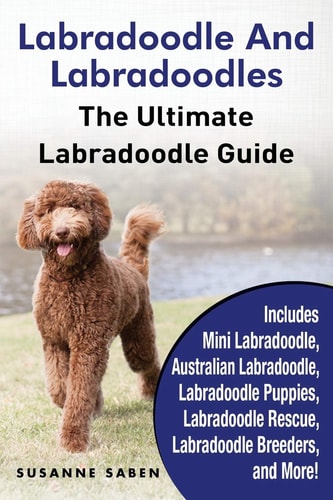 Labradoodle and Labradoodles The Ultimate Labradoodle Guide Includes Mini Labradoodle, Australian Labradoodle, Labradoodle Puppies, Labradoodle Rescue, Labradoodle Breeders, and More!