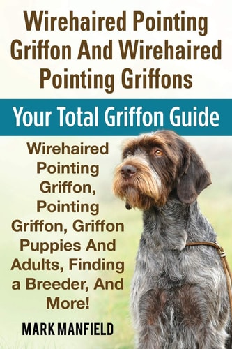Wirehaired Pointing Griffon and Wirehaired Pointing Griffons Your Total Griffon Guide Wirehaired Pointing Griffon, Pointing Griffon, Griffon Puppies and Adults, Finding a Breeder, & More!