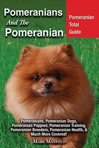 Pomeranians And The Pomeranian Pomeranian Total Guide Pomeranians, Pomeranian Dogs, Pomeranian Puppies, Pomeranian Training, Pomeranian Breeders, Pomeranian Health, & Much More Covered!