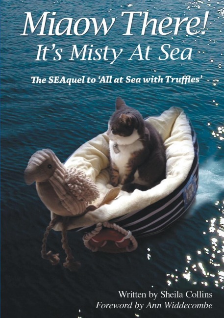 Miaow There!: Its Misty at Sea!