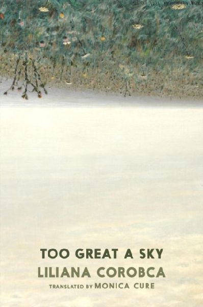 Too Great A Sky