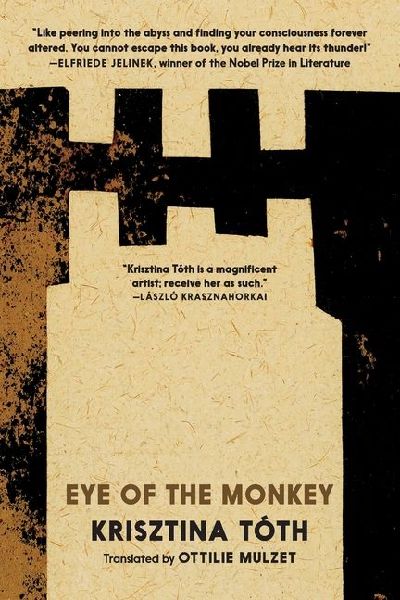 Eye of the Monkey