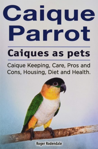 Caique Parrot. Caiques as Pets. Caique Keeping, Care, Pros and Cons, Housing, Diet and Health.