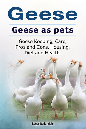 Geese. Geese as Pets. Geese Keeping, Care, Pros and Cons, Housing, Diet and Health.