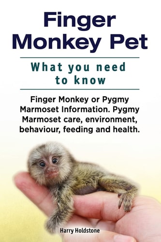 Finger Monkey Pet. WHAT YOU NEED TO KNOW. Finger Monkey Or Pygmy Marmoset Information. Pygmy Marmoset Care, Environment, Behaviour, Feeding and Health.