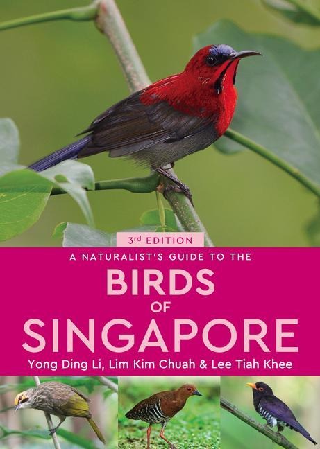 A Naturalists Guide to the Birds of Singapore