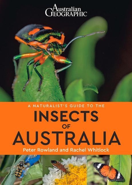 A Naturalists Guide to Insects of Australia