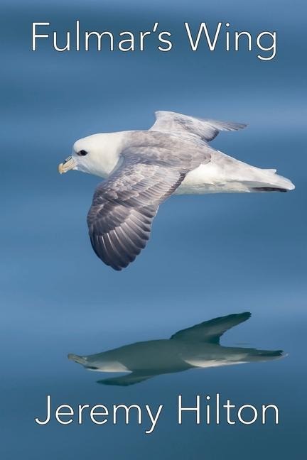 Fulmars Wing