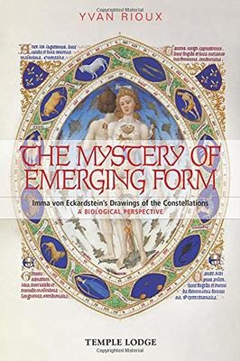 The Mystery of Emerging Form: Imma Von Eckardsteins Drawings of the Constellations - A Biological Perspective