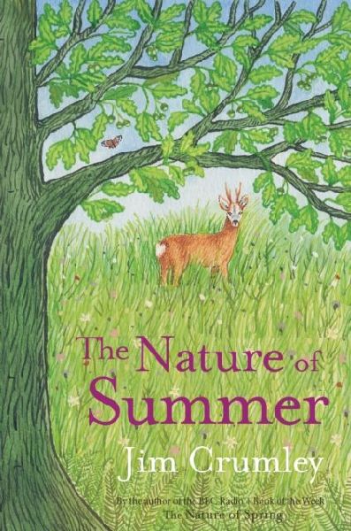The Nature of Summer