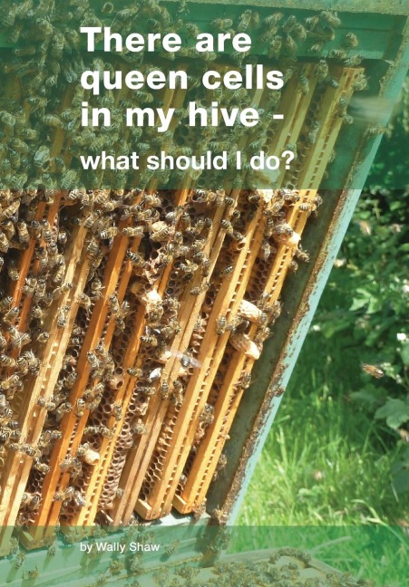 There are queen cells in my hive: - what should I do?