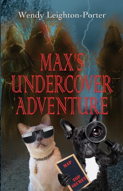 Maxs Undercover Adventure