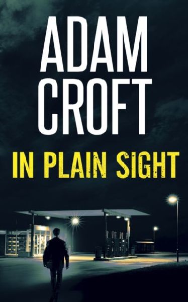 In Plain Sight