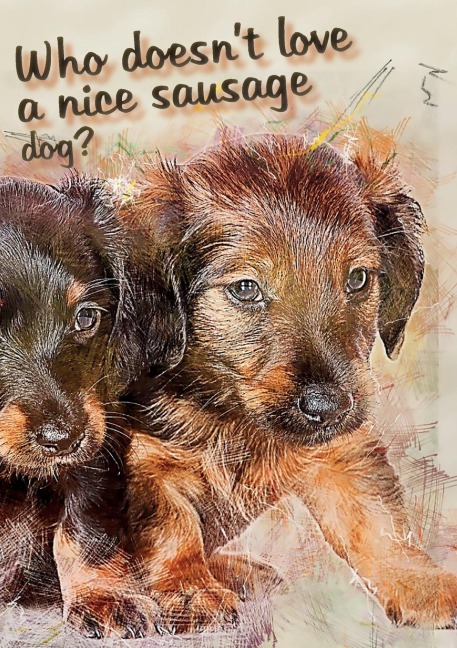 Who doesnt like a nice sausage dog?