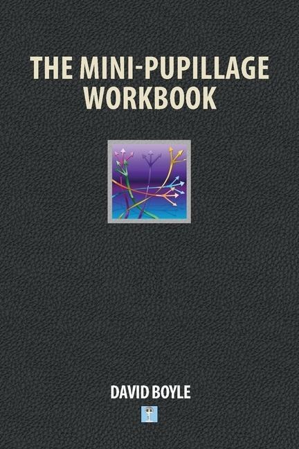 The Mini-Pupillage Workbook