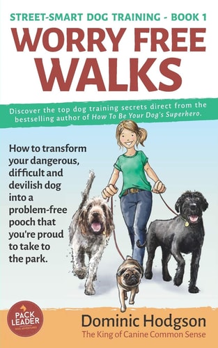 Worry Free Walks How to transform your dangerous, difficult and devilish dog into a problem-free pooch that you're proud to take to the park