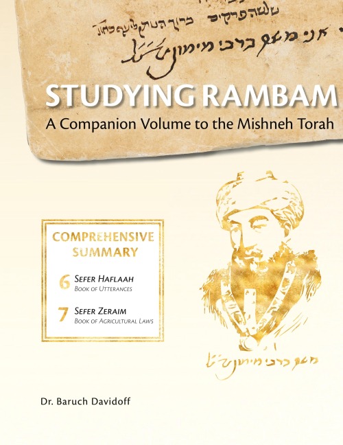Studying Rambam. A Companion Volume to the Mishneh Torah.: Comprehensive Summary Volume 4.