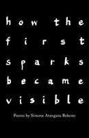 how the first sparks became visible: Poems