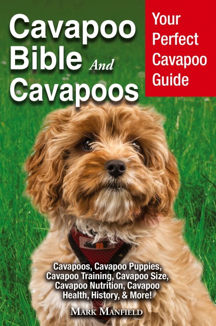 Cavapoo Bible And Cavapoos: Your Perfect Cavapoo Guide Cavapoos, Cavapoo Puppies, Cavapoo Training, Cavapoo Size, Cavapoo Nutrition, Cavapoo Health, History, & More!