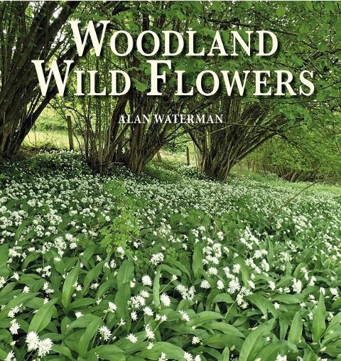 Woodland Wild Flowers: Through the Seasons