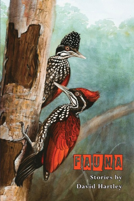 Fauna