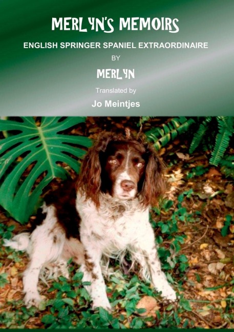 Merlyns Memoirs: English Springer Spaniel Extraordinaire