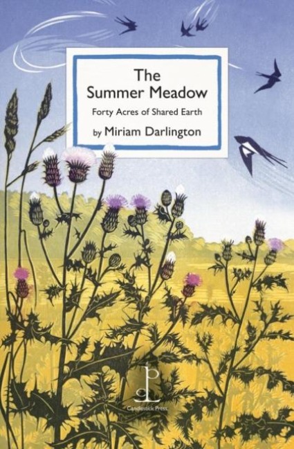 The Summer Meadow: Forty Acres of Shared Earth