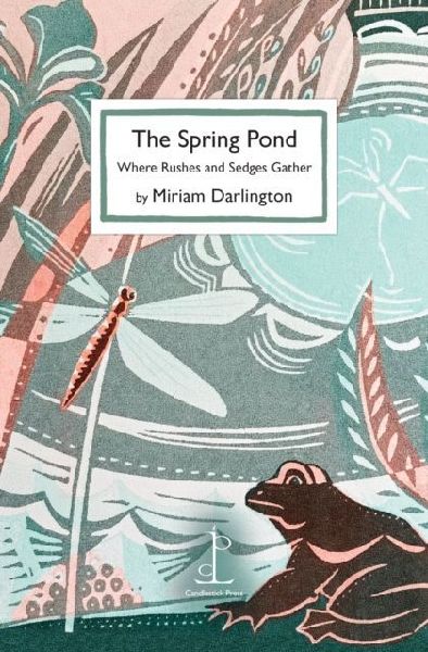 The Spring Pond: Where Rushes and Sedges Gather