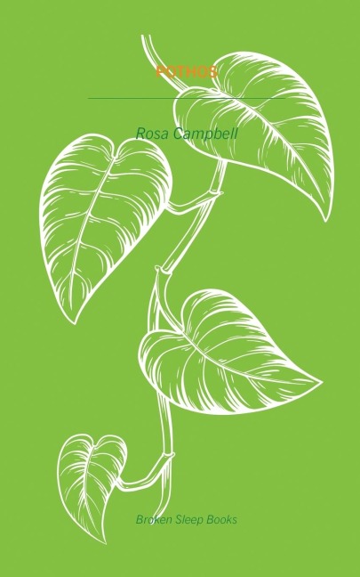 Pothos