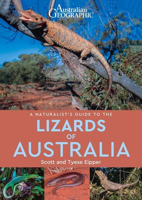 A Naturalist's Guide to the Lizards of Australia