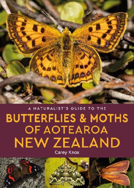 A Naturalists Guide to the Butterflies & Moths of Aotearoa New Zealand