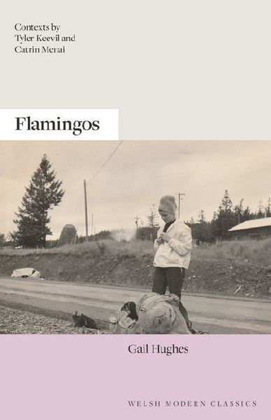Flamingos