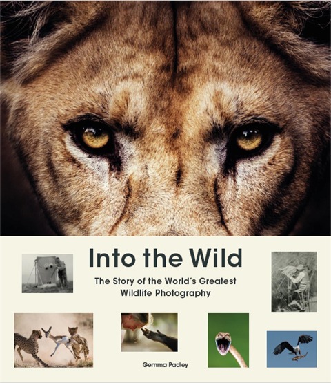 Into the Wild: The Story of the Worlds Greatest Wildlife Photography