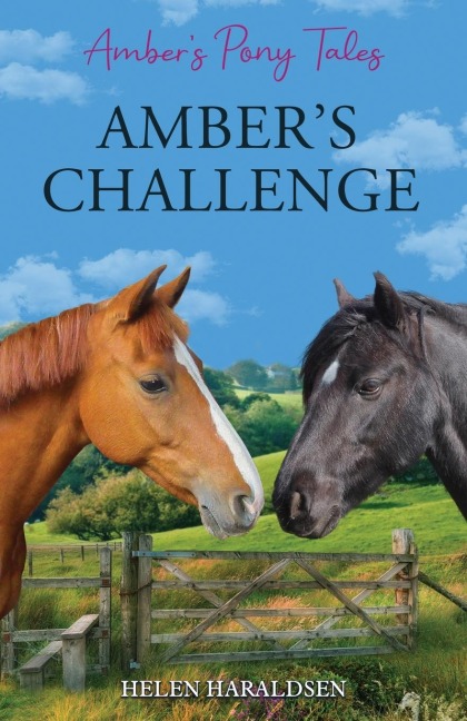 Ambers Challenge