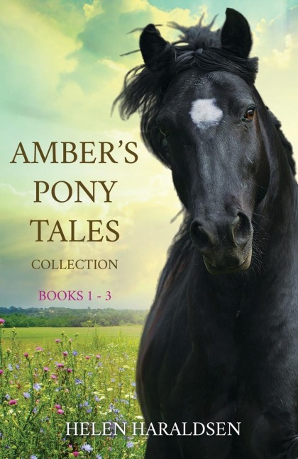 Ambers Pony Tales Collection: Books 1 - 3