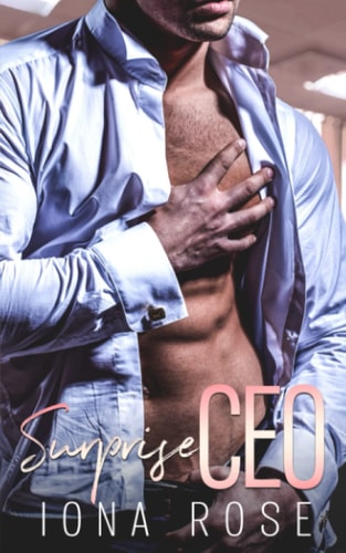 Surprise CEO An Office Romance