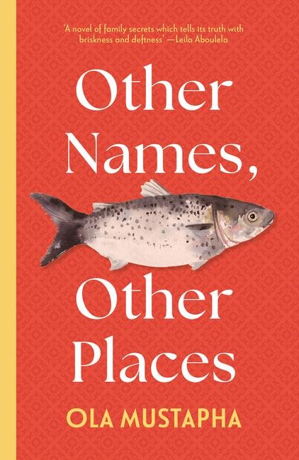Other Names, Other Places: A dazzling novel of family, identity and self