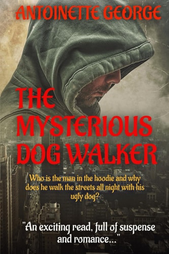 The Mysterious Dog Walker
