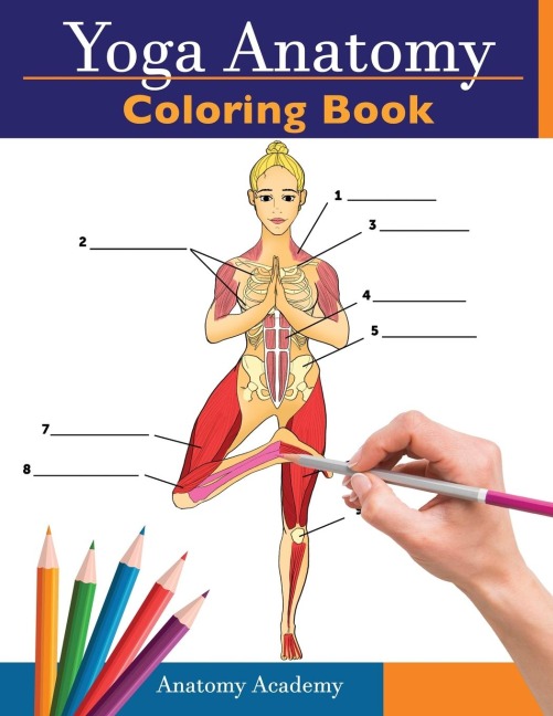 Yoga Anatomy Coloring Book: 3-in-1 Collection Set | 150+ Incredibly Detailed Self-Test Beginner, Intermediate & Expert Yoga Poses Color workbook