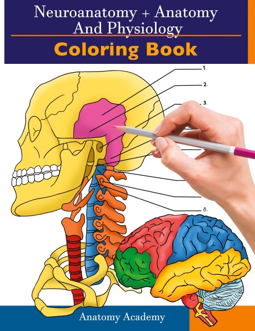 Neuroanatomy + Anatomy and Physiology Coloring Book: 2-in-1 Collection Set | Incredibly Detailed Self-Test Color workbook for Studying and Relaxation
