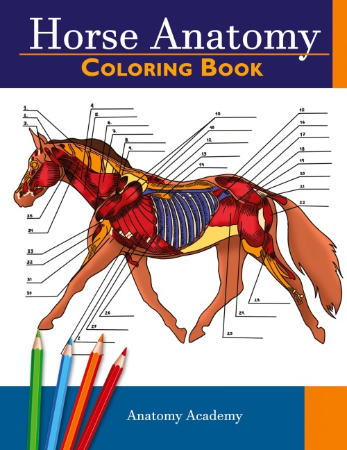 Horse Anatomy Coloring Book: Incredibly Detailed Self-Test Equine Anatomy Color workbook | Perfect Gift for Veterinary Students, Horse Lovers & Adults