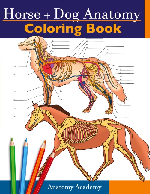 Horse + Dog Anatomy Coloring Book: 2-in-1 Compilation | Incredibly Detailed Self-Test Equine & Canine Anatomy Color workbook | Perfect Gift for Veterinary Students, Animal Lovers & Adults