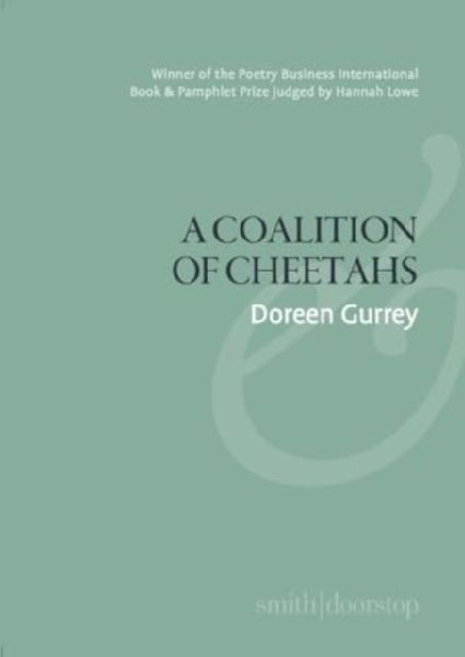 A Coalition of Cheetahs