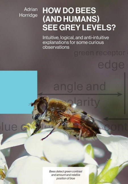 HOW DO BEES (AND HUMANS) SEE GREY LEVELS?: Intuitive, logical, and  anti-intuitive explanations for some curious observations