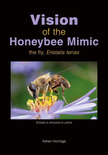 Vision of the Honeybee Mimic