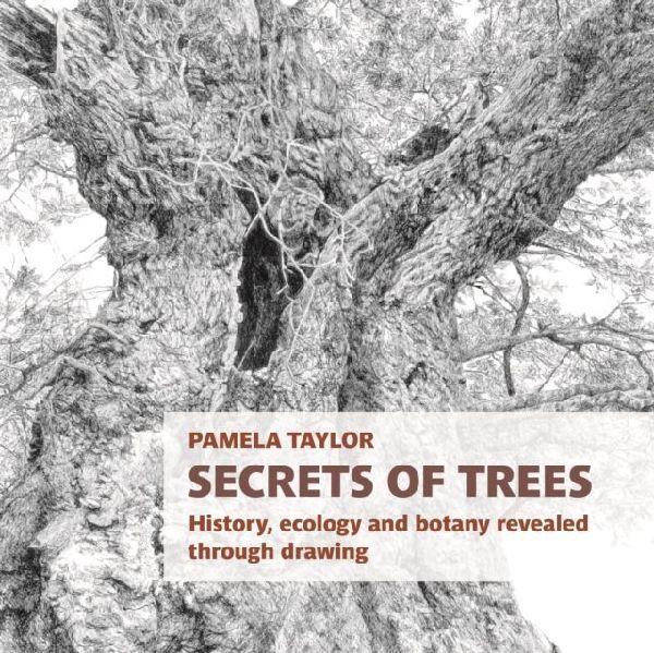 Secrets of Trees: History, ecology and botany revealed through drawing