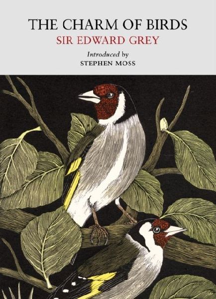 The Charm of Birds